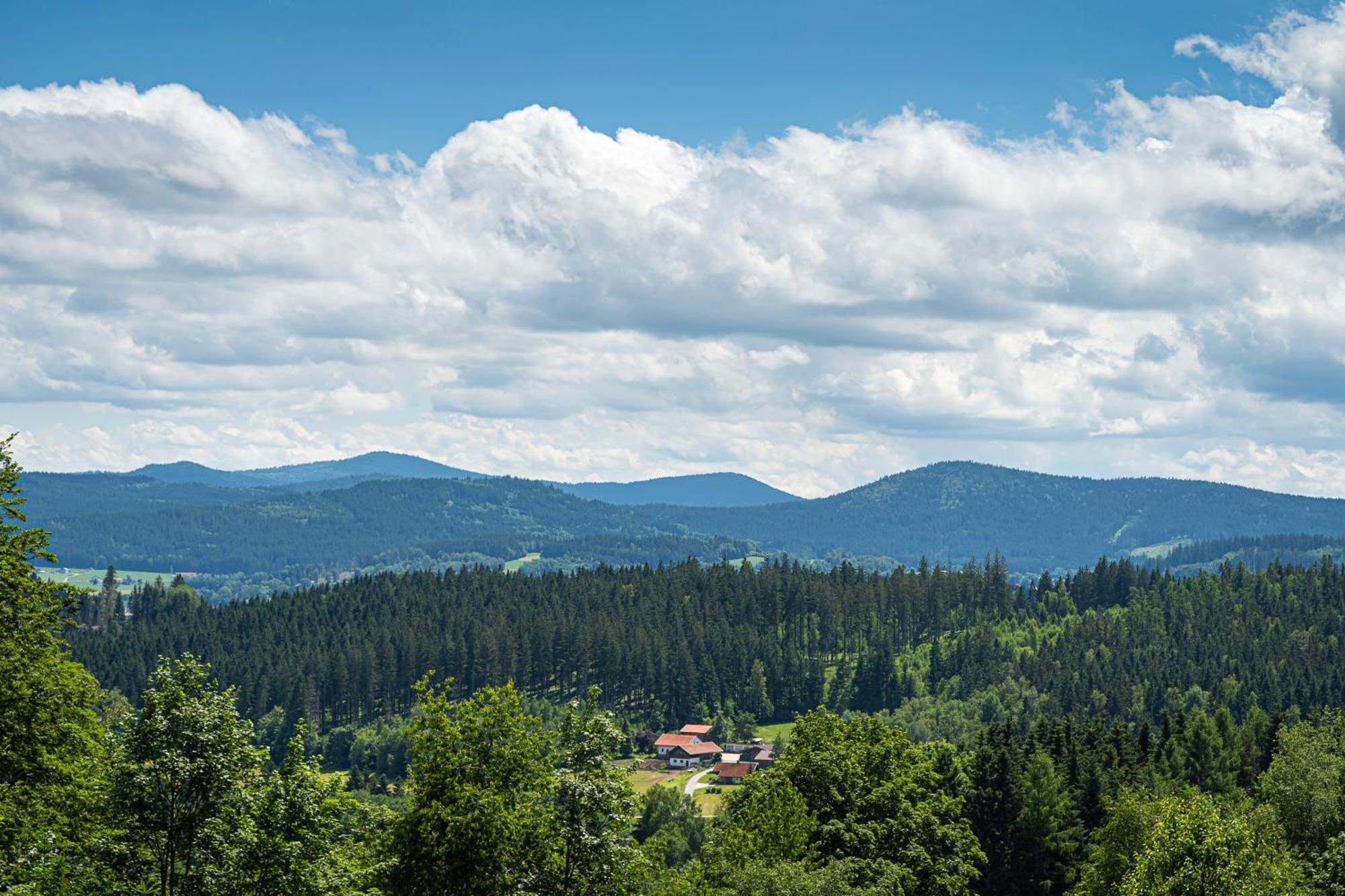 Robenstein Hotel & Spa - Villa Цвизель Экстерьер фото